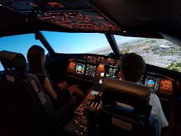 flight simulation